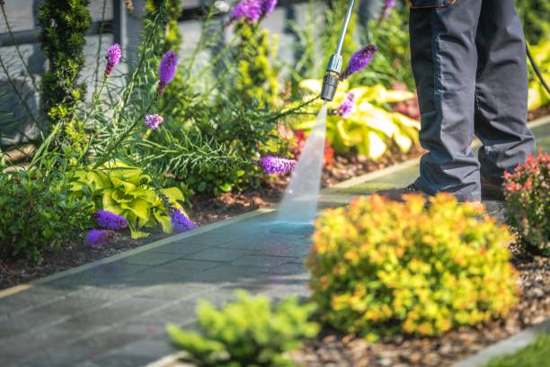 Best Driveway Pressure Washing  in Reedspt, OR